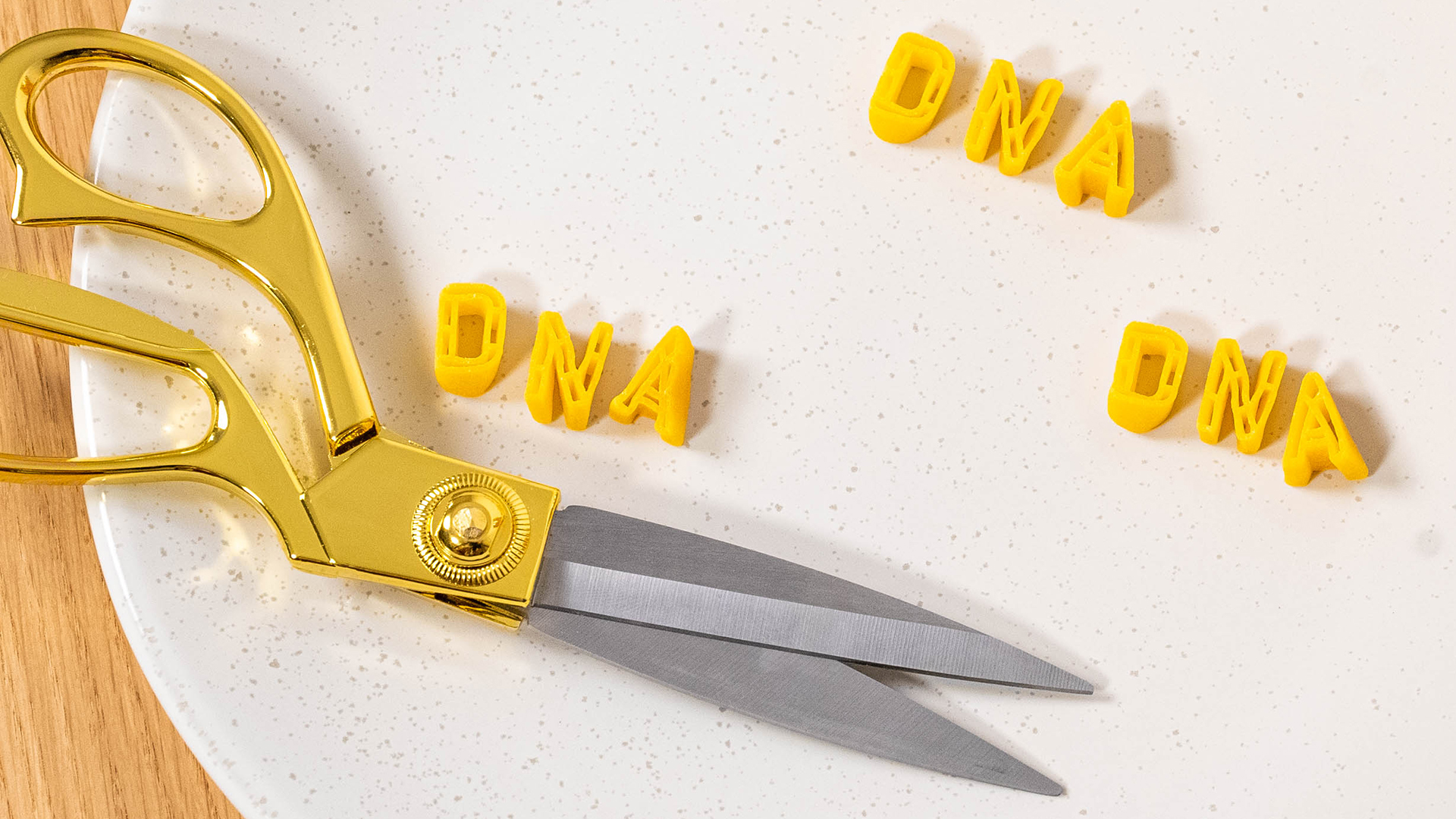 Neben einem Glas voller Nudeln steht ein Teller, darauf aus Nudeln geformt das Wort "DNA" und eine Schere.