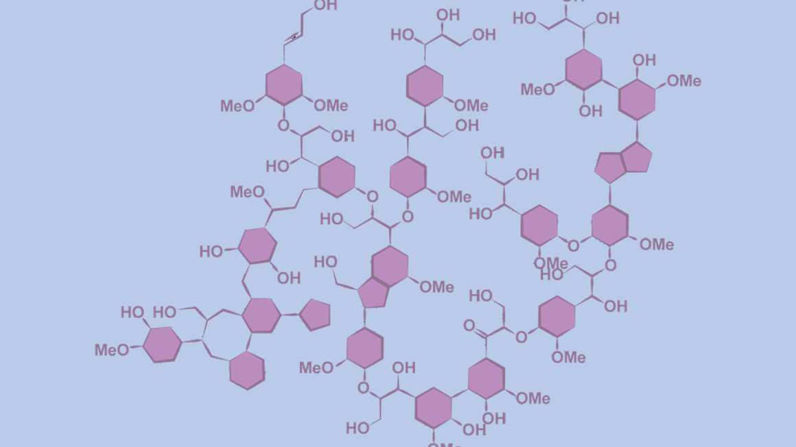 Die chemische Struktur des Ligninmoleküls ist komplex und variabel.
