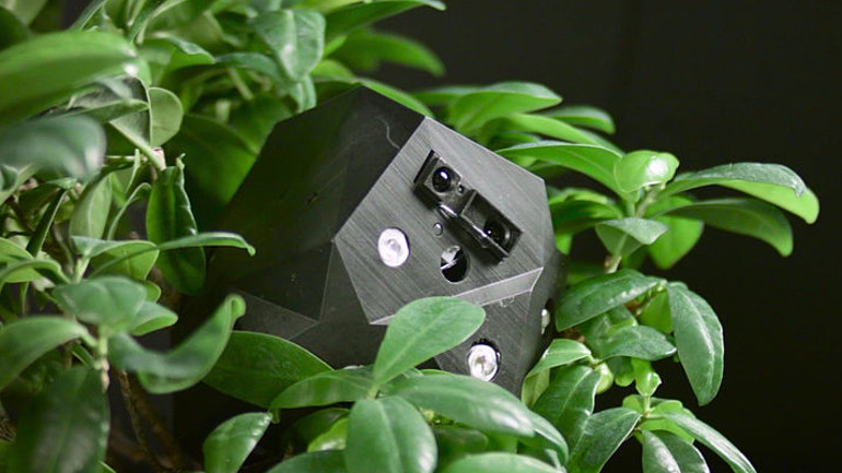 Pflanzen und Roboter sollen im Projekt "flora robotica" künftig untereinander und mit dem Menschen kommunizieren könne.