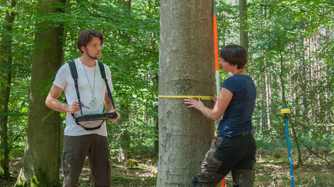 Ein Inventurteam der Thünen-Instituts vermisst den Wald.