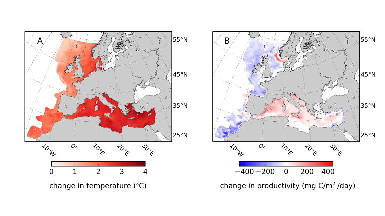  Veränderung der Meerestemperatur nach RCP-Szenario 8.5 bis zum Jahr 2100 (li.) und Veränderung der Produktivität von Phytoplankton (re.) 
