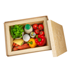 Verschiedene Gemüsesorten und Milchprodukte in einer Kiste mit Isoliermaterial