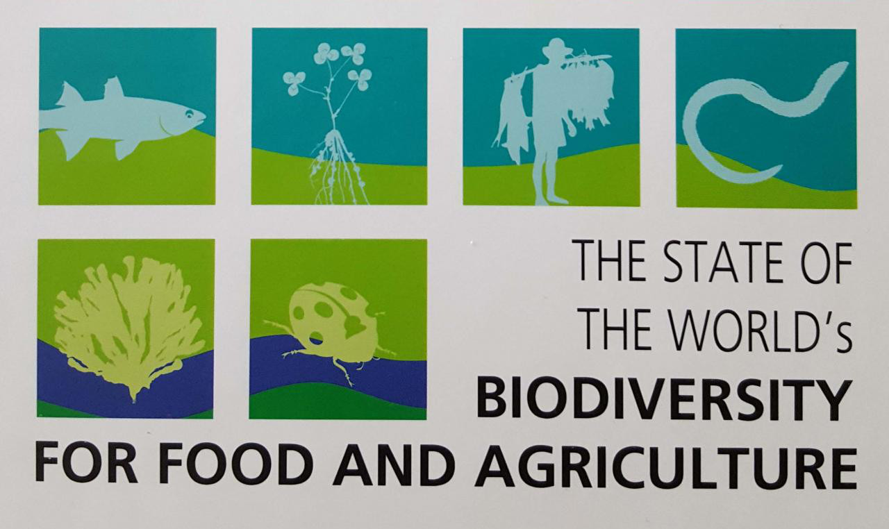 FAO-Studie zur Biodiversität (Titelbild)
