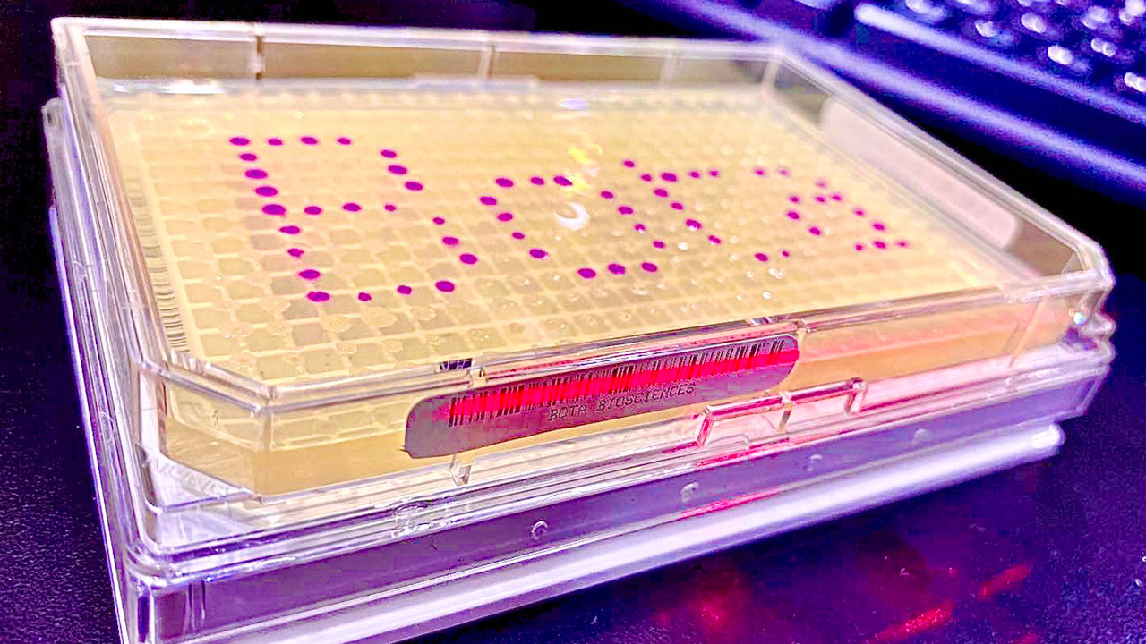 Das chinesische Start-up Bota Biosciences hat eine Biotechnologie-Plattform zur  Identifizierung, Optimierung und Produktion geeigneter Mikroorganismen entwickelt.