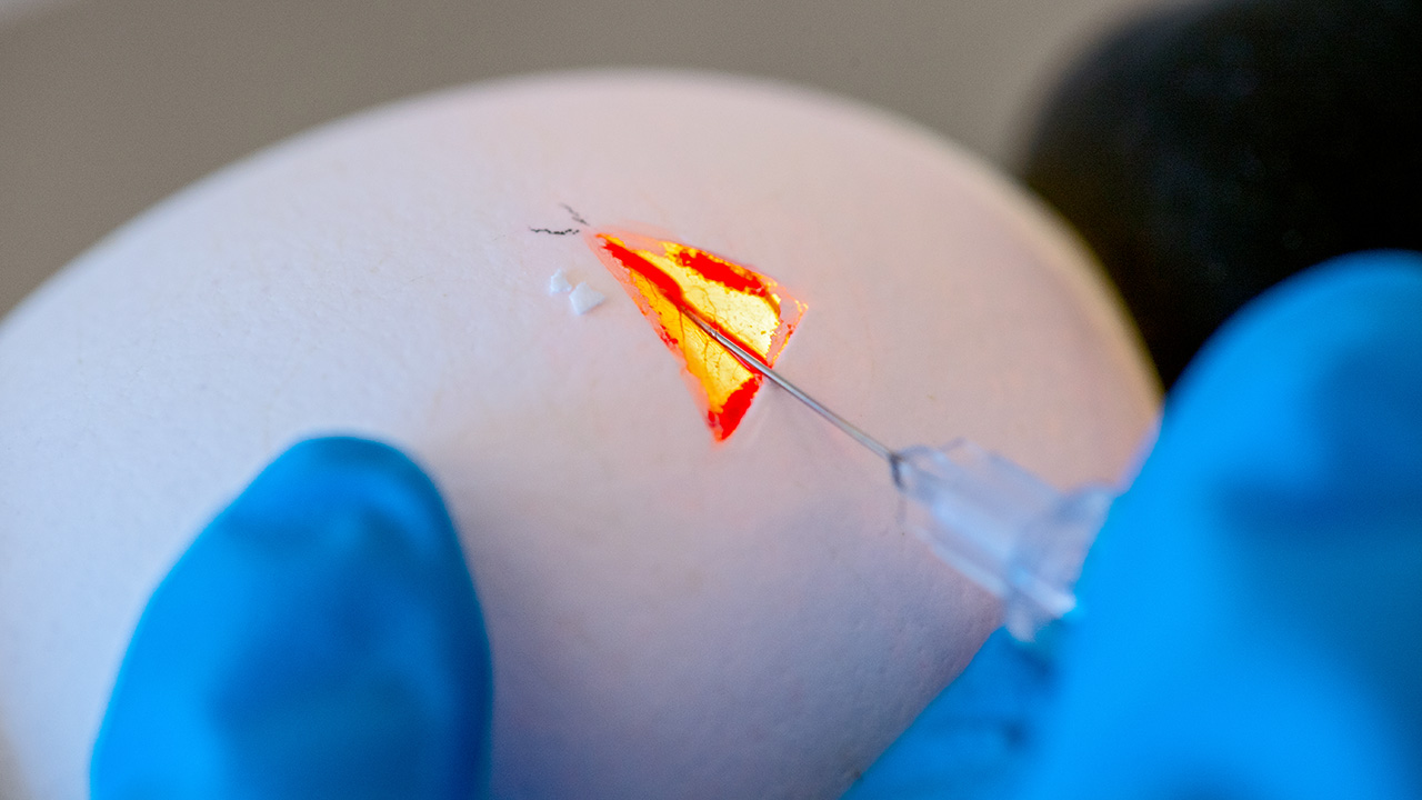 Injektion in einen Hühnerembryo