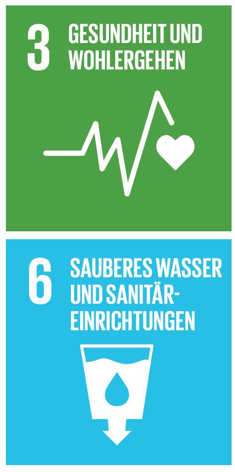 SDG 3 und 6 icon