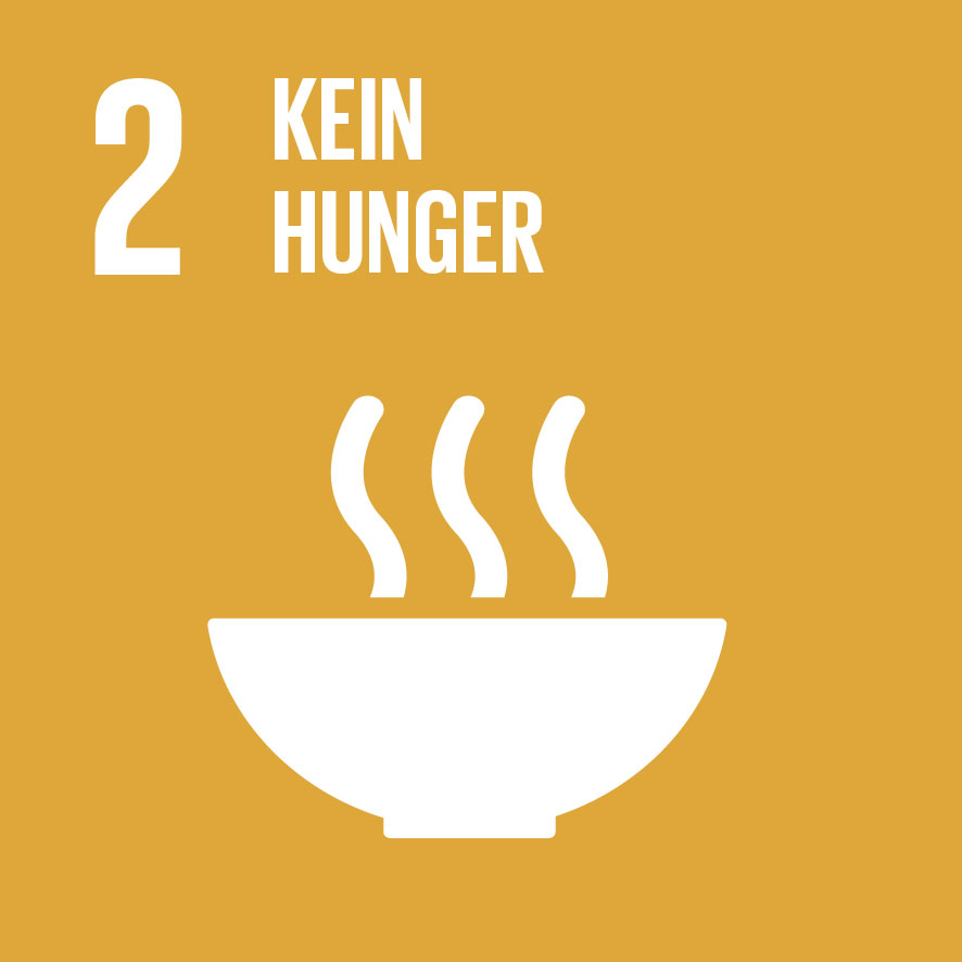 SDG 2 Kein Hunger Icon