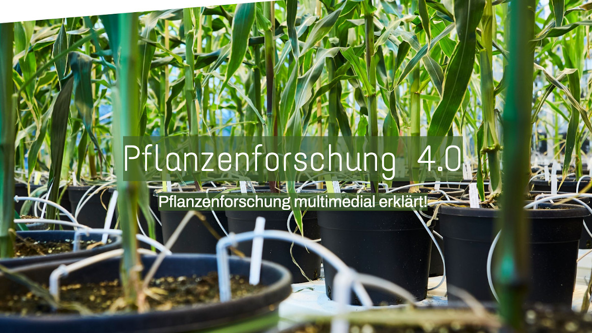 Startbildschirm der Webseite Pflanzenforschung 4.0