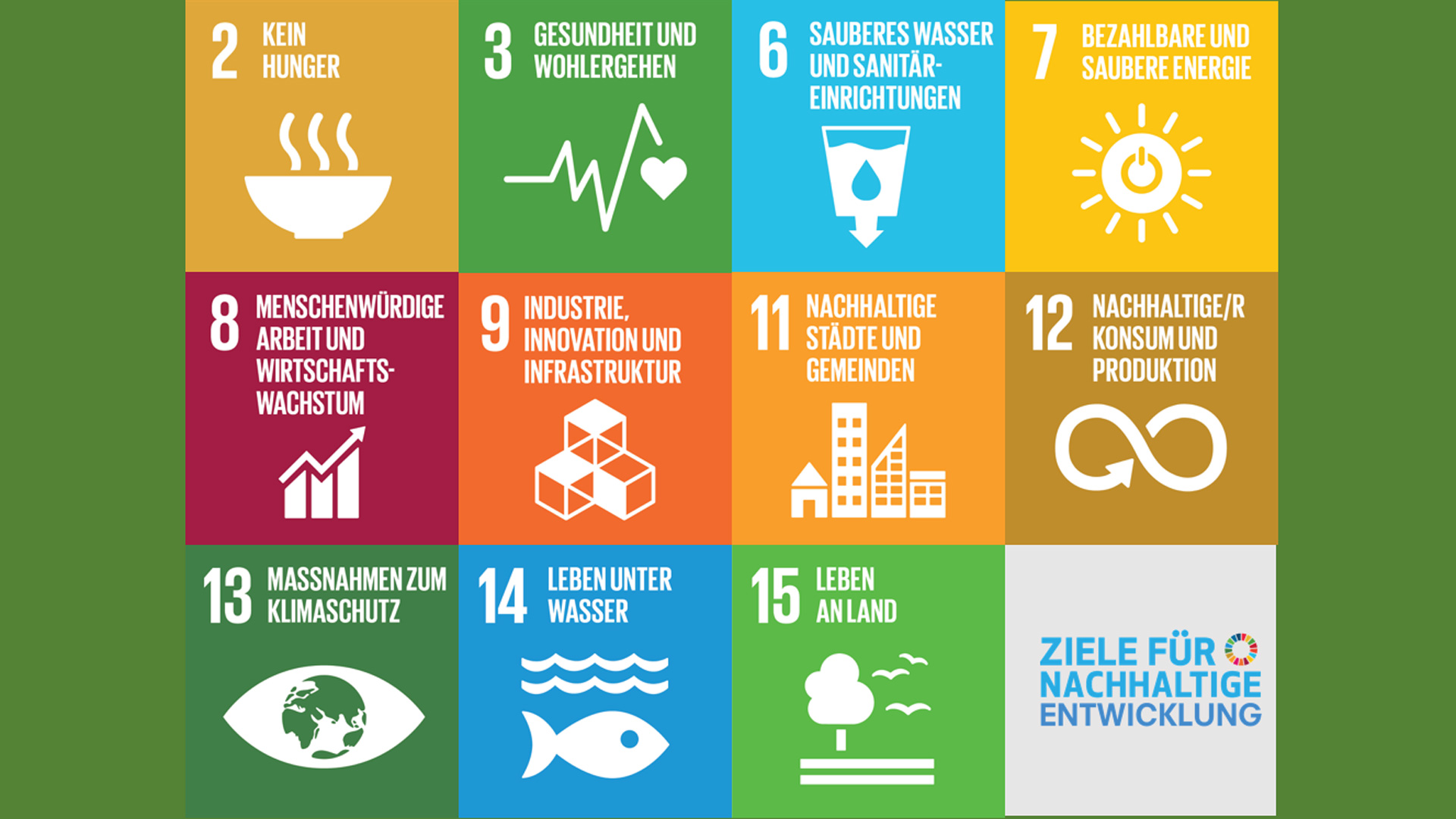 11 SDGs und Bioökonomie