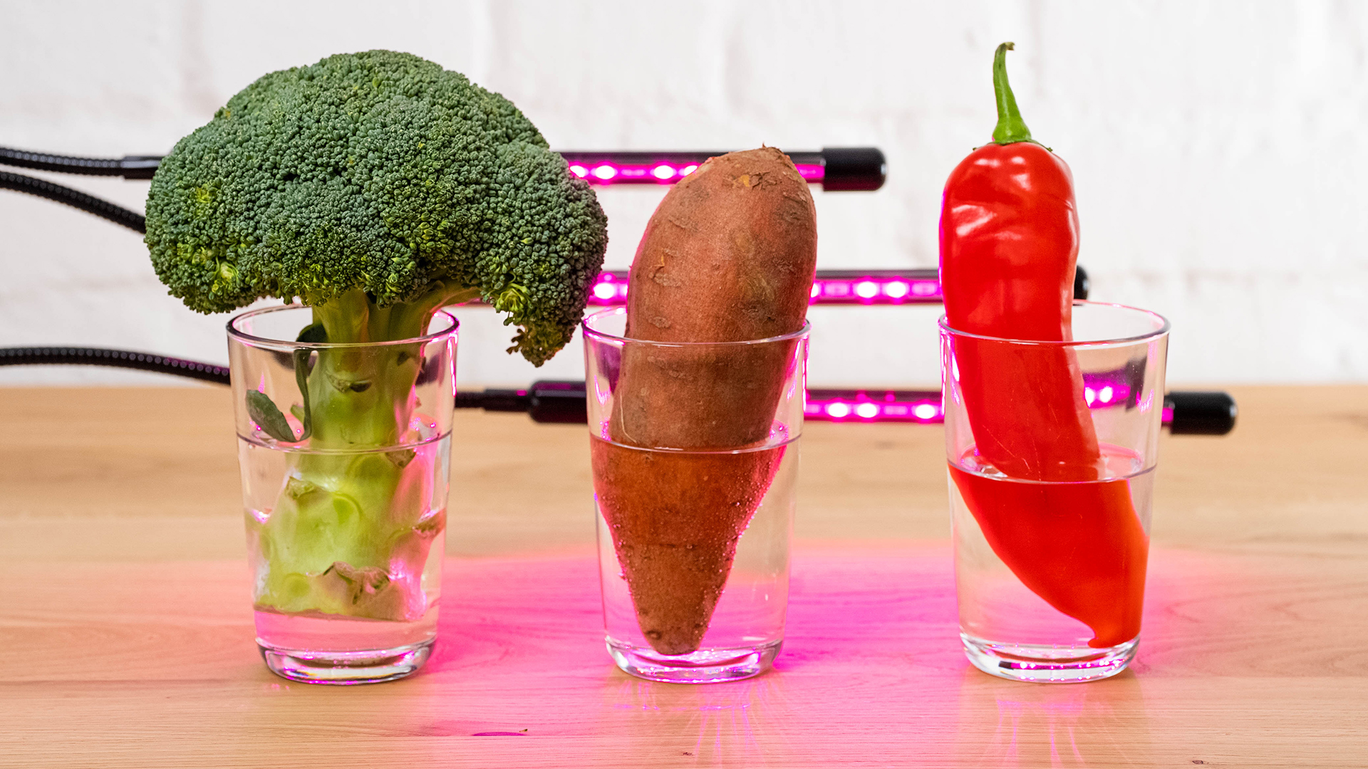 Drei Gläser, darin Wasser und Gemüse.