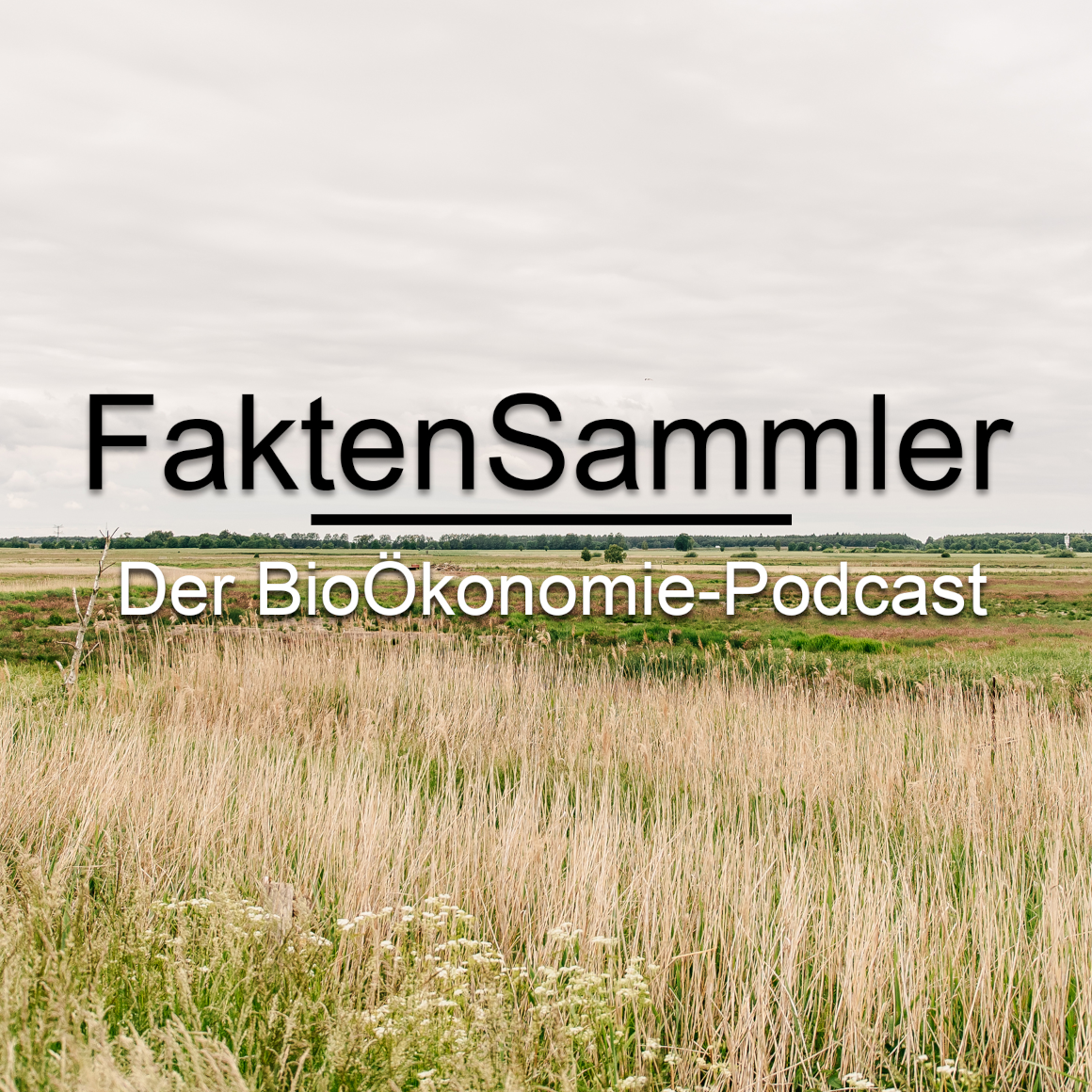Faktensammler Podcast Uni Greifswald