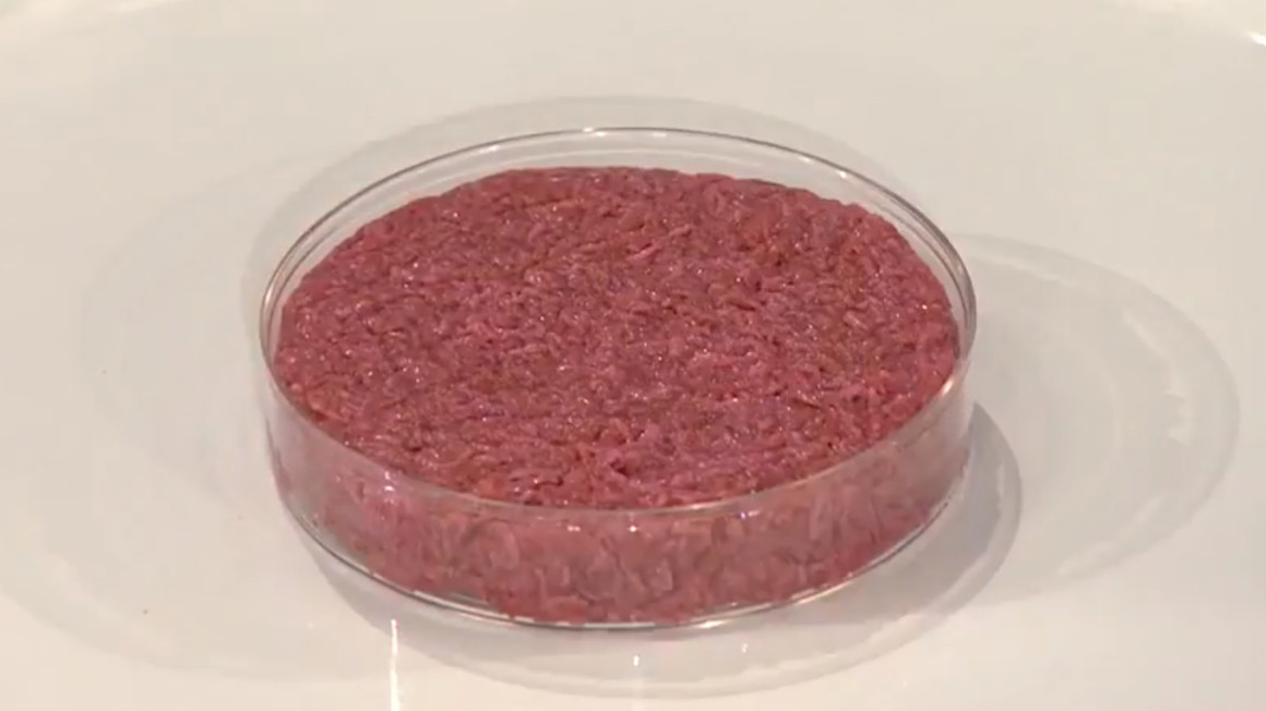 Kultiviertes Fleisch aus Muskelzellen in der Petrischale