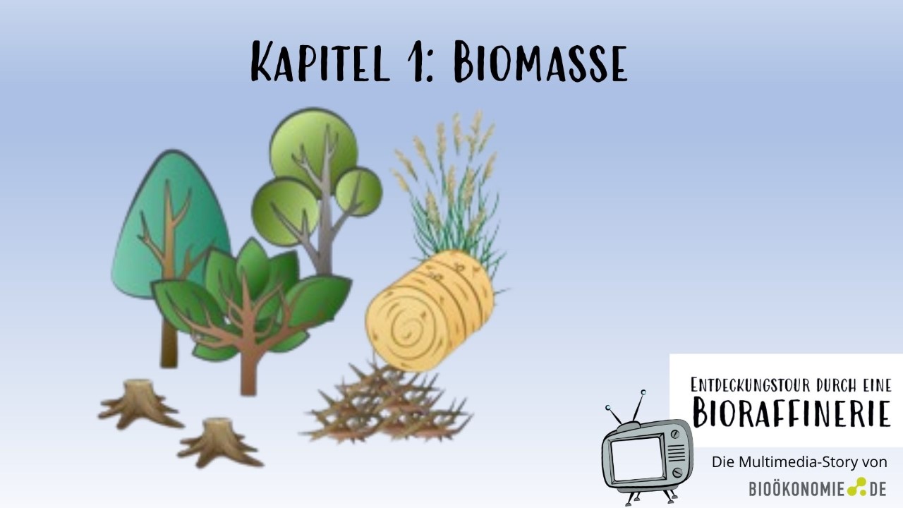 Bioraffinerie-Tour: Kapitel Biomasse
