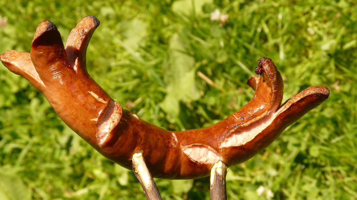 Grillwurst am Stock