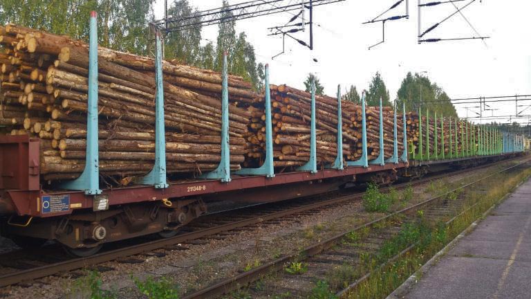 Güterzug mit Baumstämmen beladen