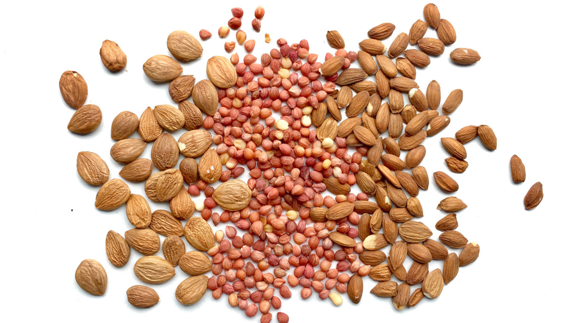 Samen aus Steinobstkernen, zum Beispiel von Aprikosen, Kirschen und Pflaumen (von links), sind gesunde Kraftpakete und stecken voller Nährstoffe, Mineralien und Vitamine. 