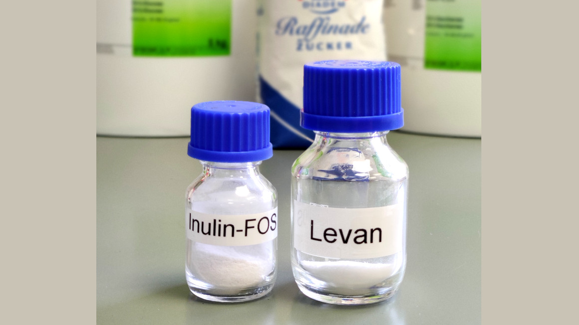 Im Projekt produzierte und aufgereinigte Präbiotika auf  Inulin- und Levan-Basis.