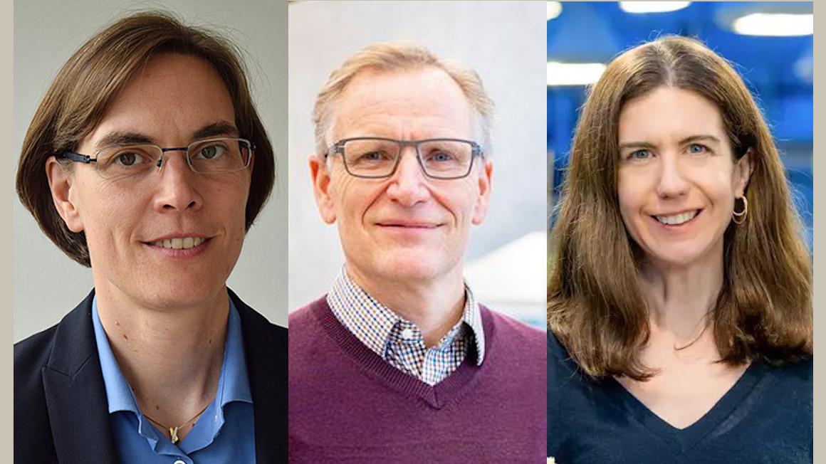 Leibniz-Preisträger: Claudia Höbartner, Largus Angenent und Sarah Ellen O’Connor