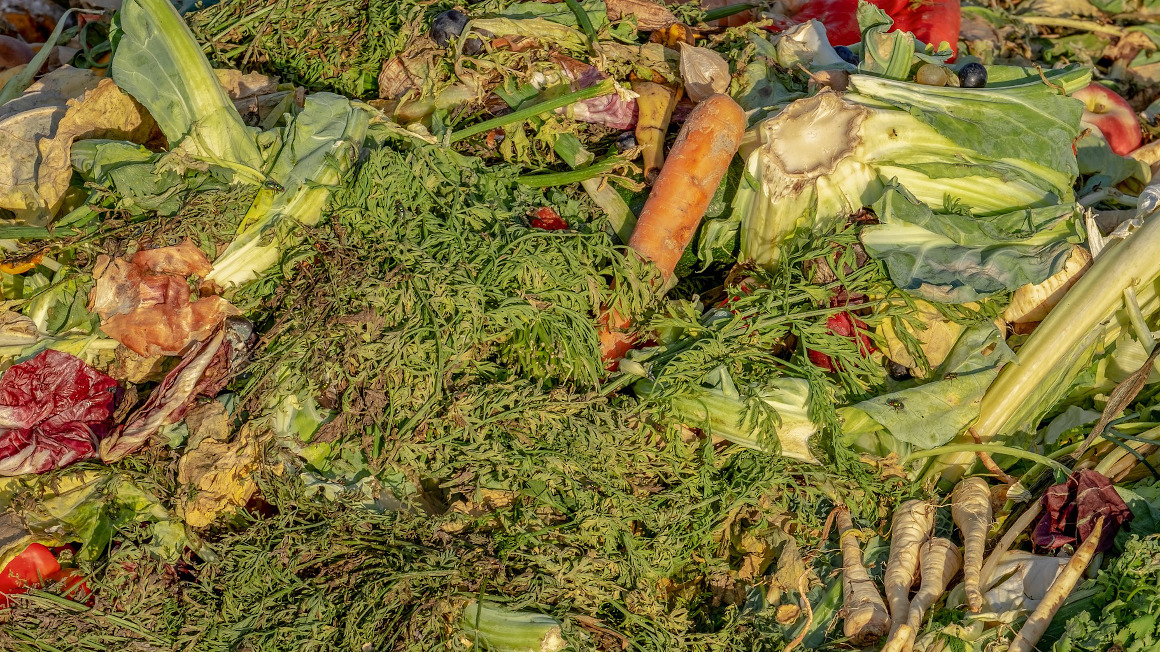 Lebensmittelabfälle im Kompost