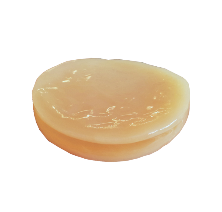 Scoby - symbiotic culture of bacteria and yeast