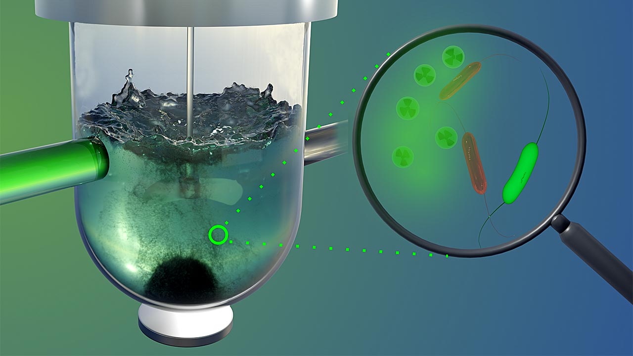 Montage aus Bioreaktor mit einem Magneten und schematischer Vergrößerung von Bakterien und Uran