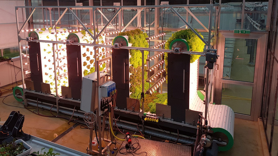 In dem automatisierten vertikalen Pflanzenzuchtsystem OrbiPlant vom Fraunhofer IME können pflanzliche Nahrungsmittel effizient und kostengünstig im Großmaßstab hergestellt werden.