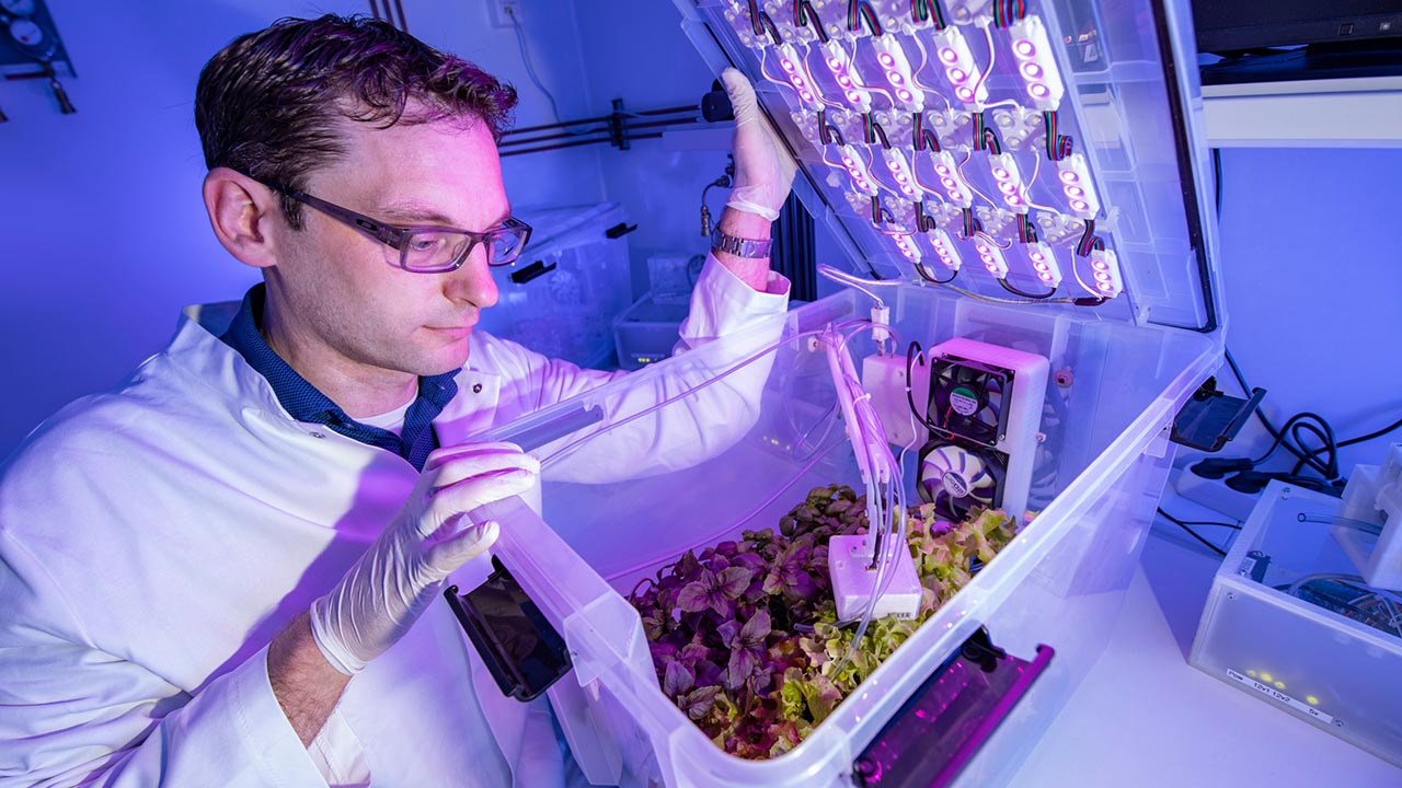 Ein Mann in weißem Kittel blickt in eine Kunststoffbox mit jungen Pflanzen und elektronischen Bauteilen.