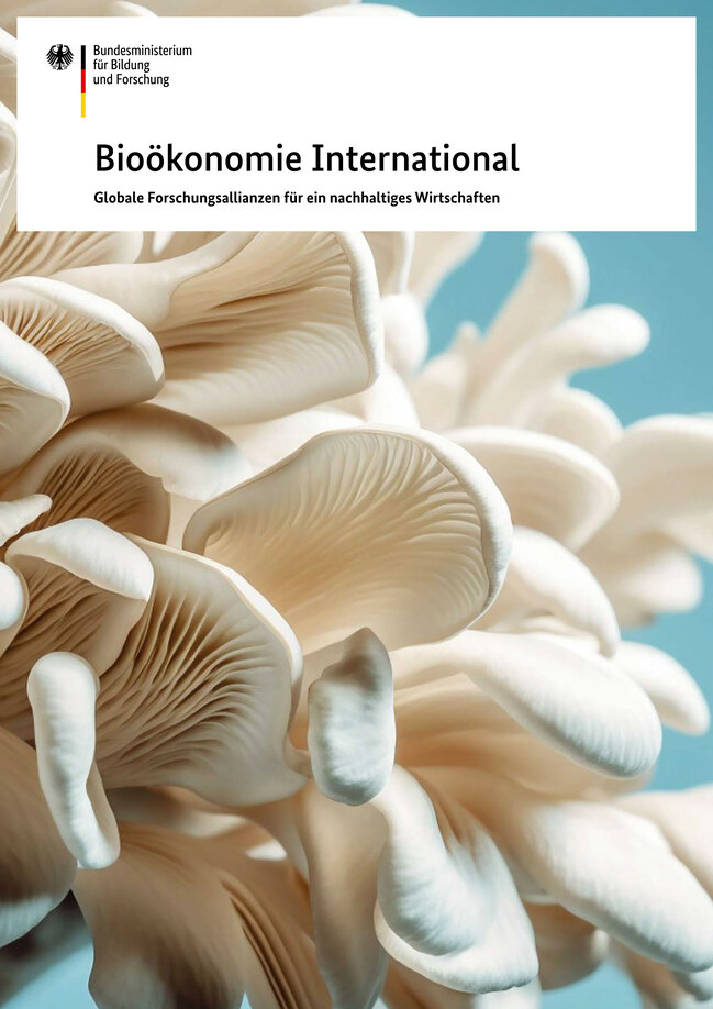 Titelseite Bioökonomie International