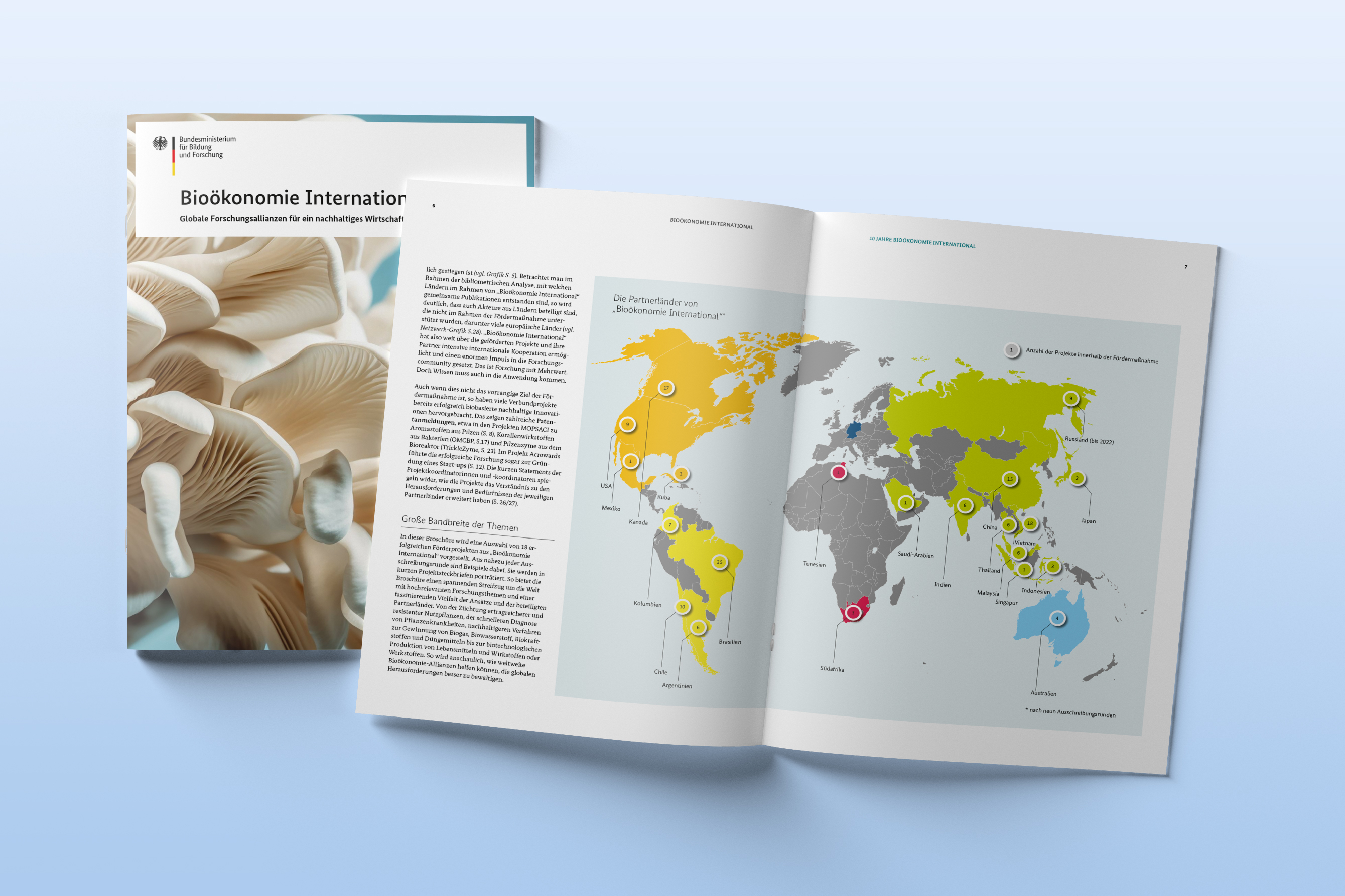 BMBF-Broschüre Bioökonomie International