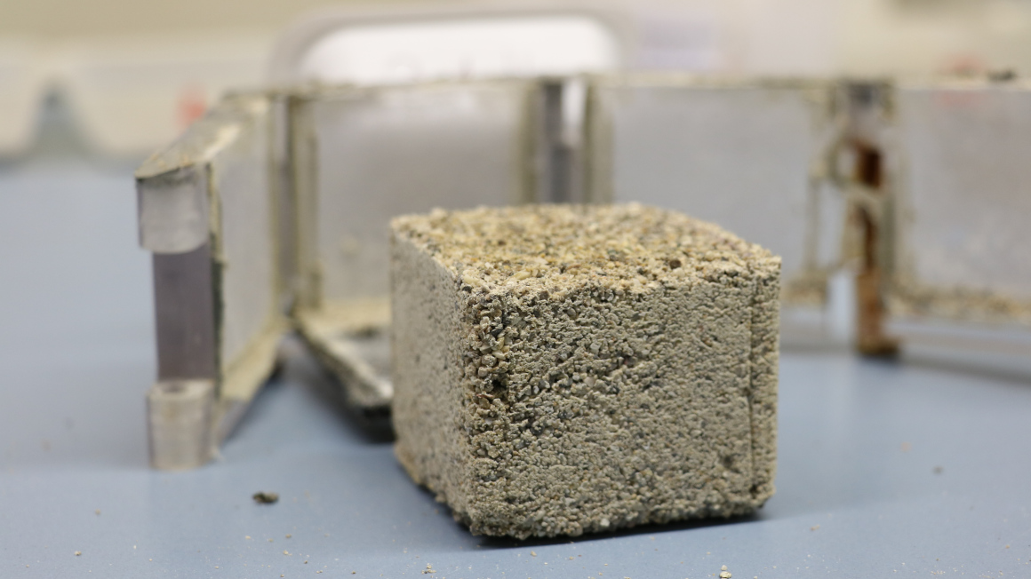 In Beton gemischt können die Bakterien Risse durch produzierten Kalk wieder schließen.