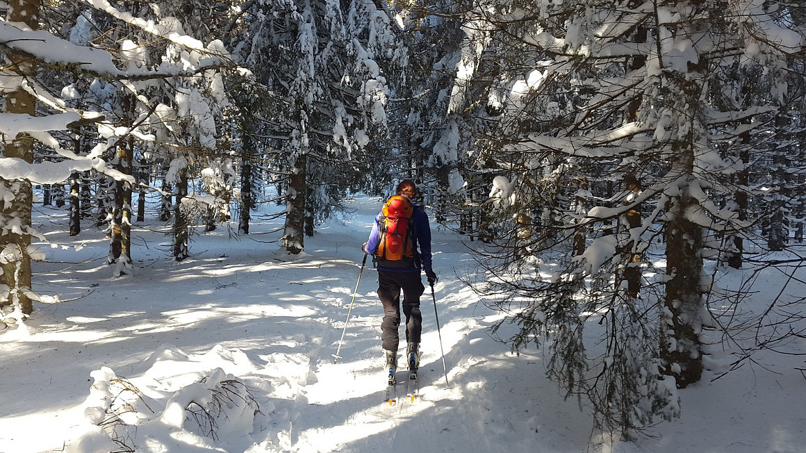 Langlauf im weißen Winterwald