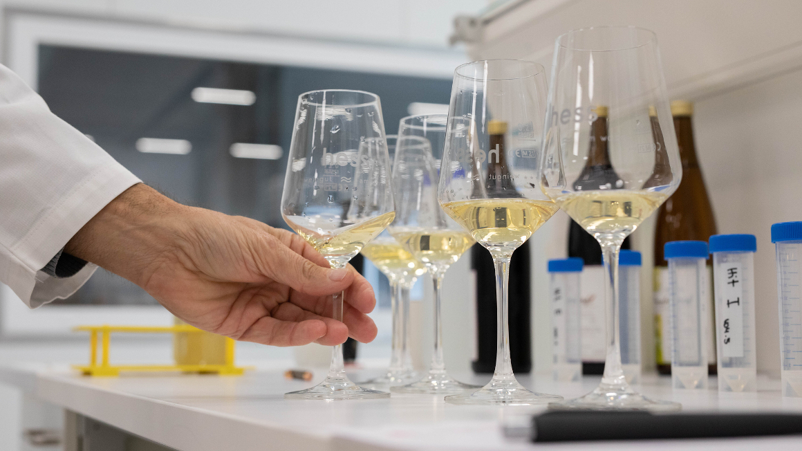 Aus dem Wingert, dennoch nicht aus der Traube: In seinem ersten Ansatz entwickelt das SusBev-Konsortium ein fermentiertes, alkoholarmes, weinähnliches Getränk aus unbehandelten Weinblättern 
