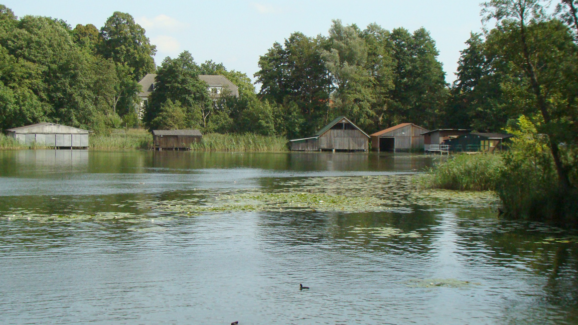 Mirower See in Mecklengrurg-Vorpommern