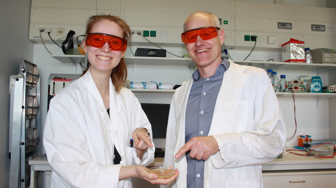 Stefanie Meier und Prof. Dr. Andreas Möglich beim Begutachten einer Agarplatte mit auf Rotlicht antwortenden Bakterien.