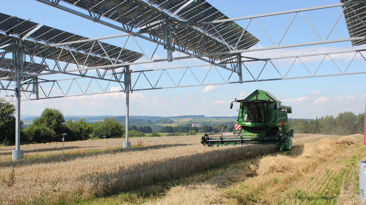 Agri-PV Anlage, darunter Feld mit Mähdrescher