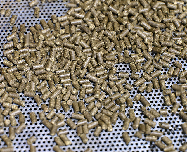 Pellets aus Grünland Restbiomasse 