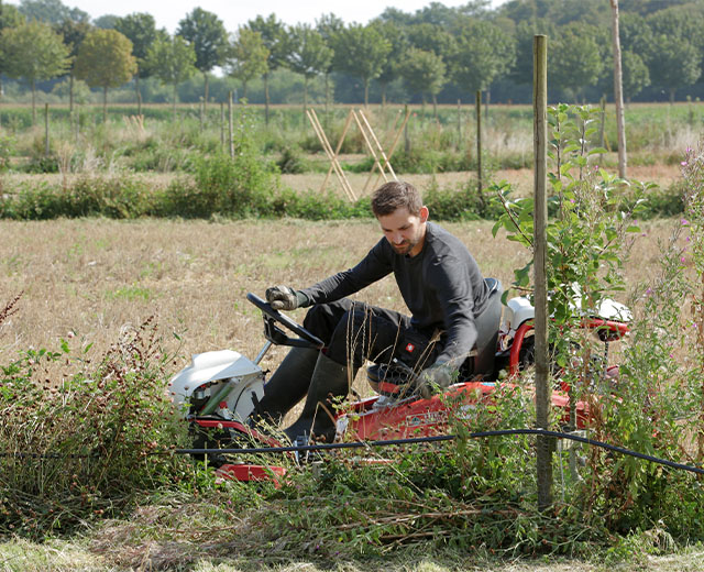 Portrait Jan Große-Kleimann Agroforst Mähen