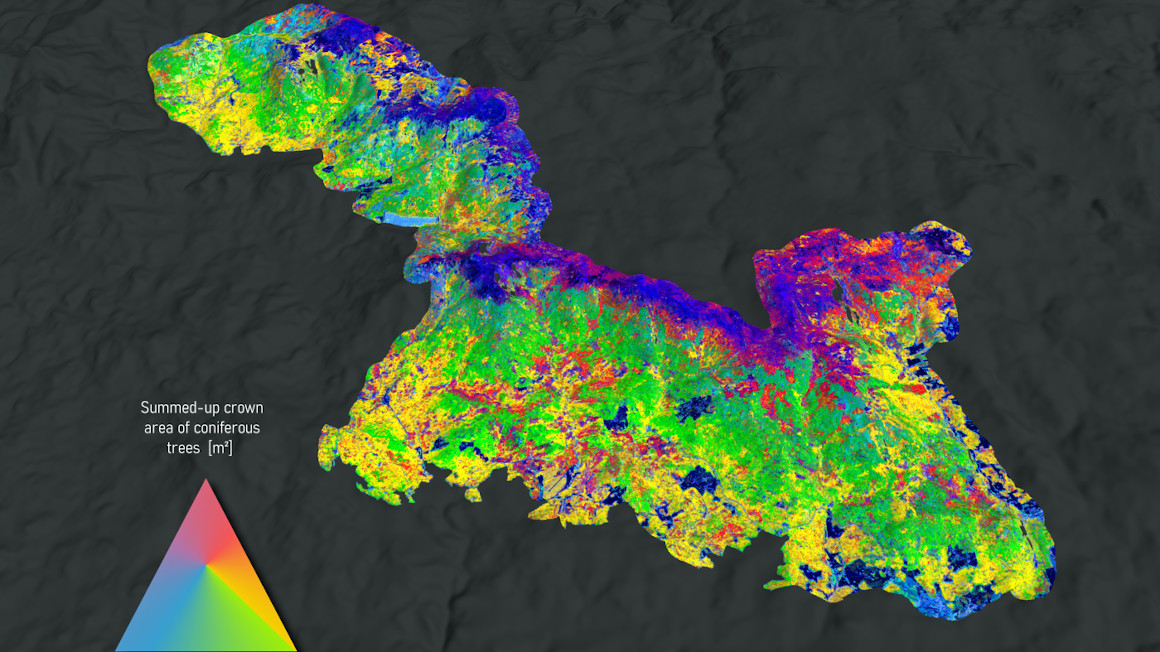 Mit den Projektdaten von Wald5Dplus lassen sich Karten erstellen, welche die Entwicklung von bis zu zehn verschiedenen Merkmalen von Bäumen vorhersagen.