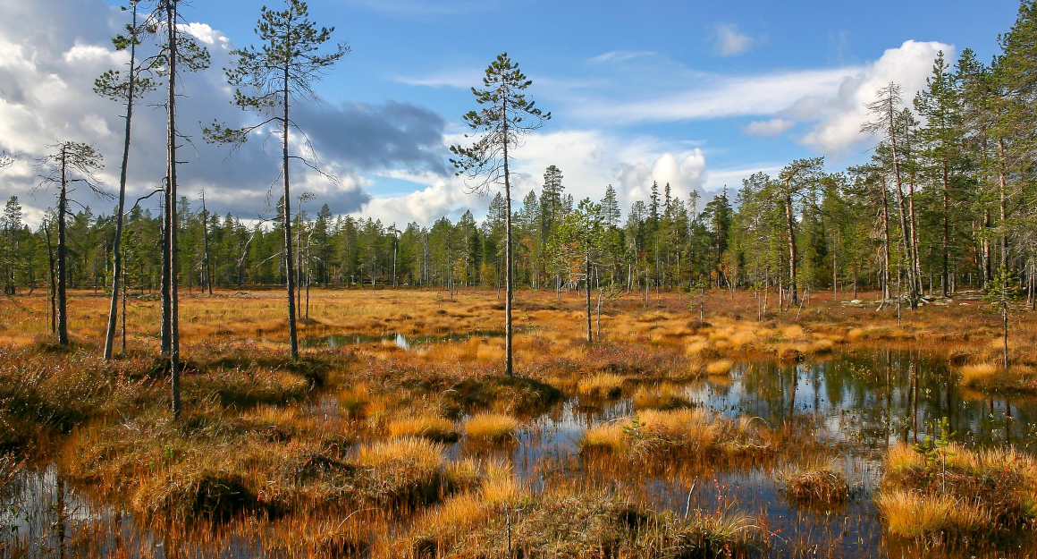 Im Projekt VALPEATS sollen Sensoren und Drohnen verschiedenste Daten zu Boden, Vegetation, Wasserstand und aktuellen Treibhausgasemissionen über der Moorfläche erfassen.