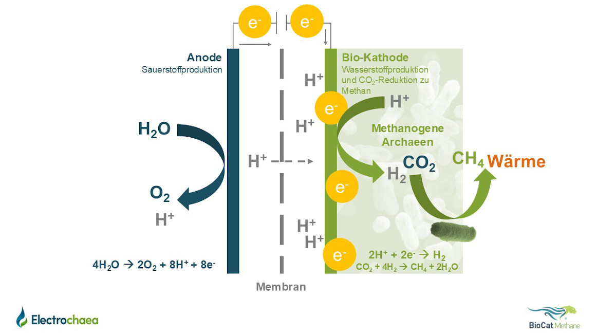 Funktionsprinzip: Schematische Darstellung der PtG-MEC