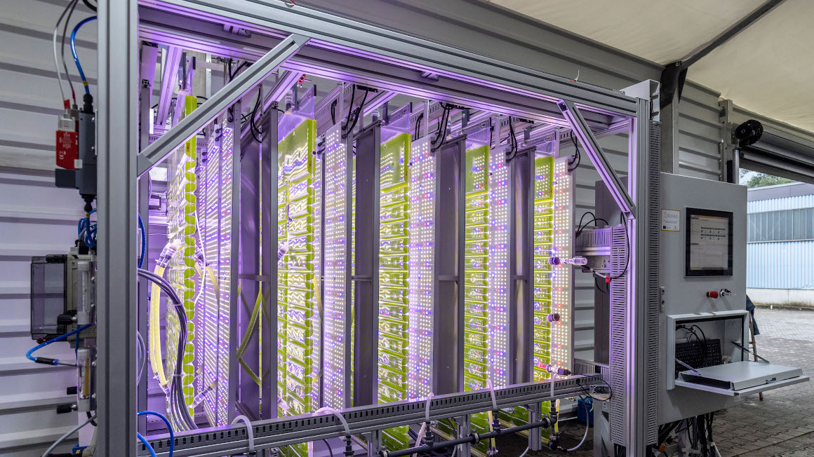 Mikroalgen in einem neuartigen Photobioreaktorsystem binden CO2 und produzieren daraus eine pflanzenstärkende Biomasse.