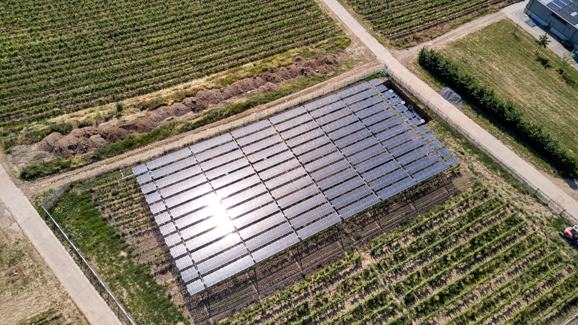 Energiegewinnung am Weinberg an der Hochschule Geisenheim: Multifunktionale Weinbausysteme sind ein Forschungsschwerpunkt des geplanten Innovationszentrums