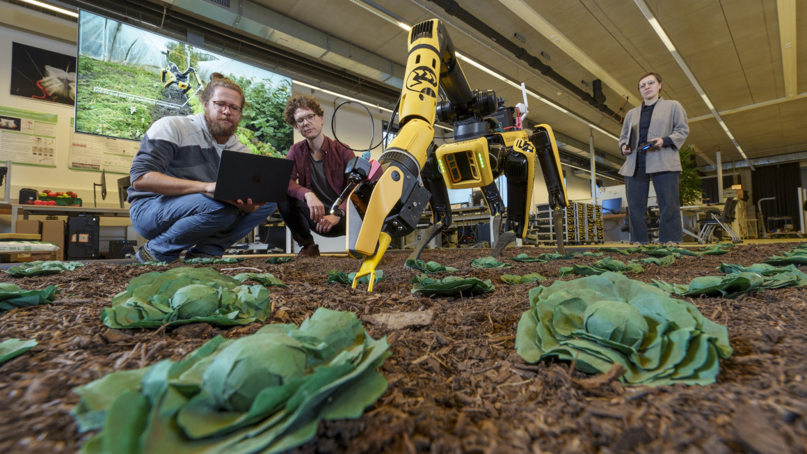 Das Forschungsteam trainiert den Polybot für vielfältige Einsatzzwecke wie das Jäten von Unkraut, das Nutzpflanzen umgibt.