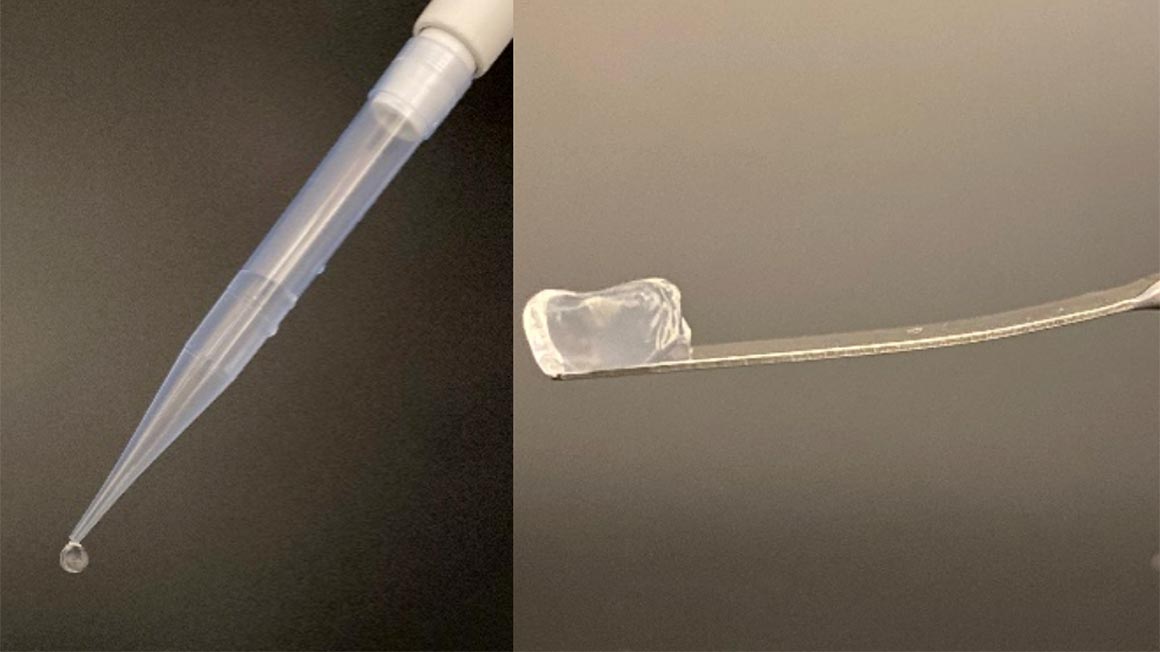 links eine Pipette mit Tropfen, rechts eine galertartige Masse auf einem Stäbchen
