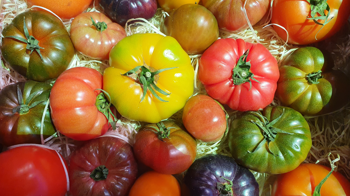 Tomaten