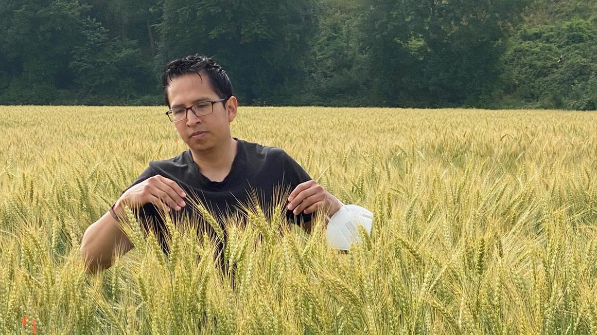Ein Mann steht in einem Getreidefeld