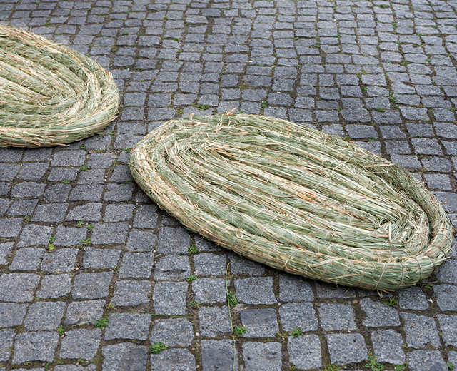 Charlett Wenig Strohinseln für den Sumpf