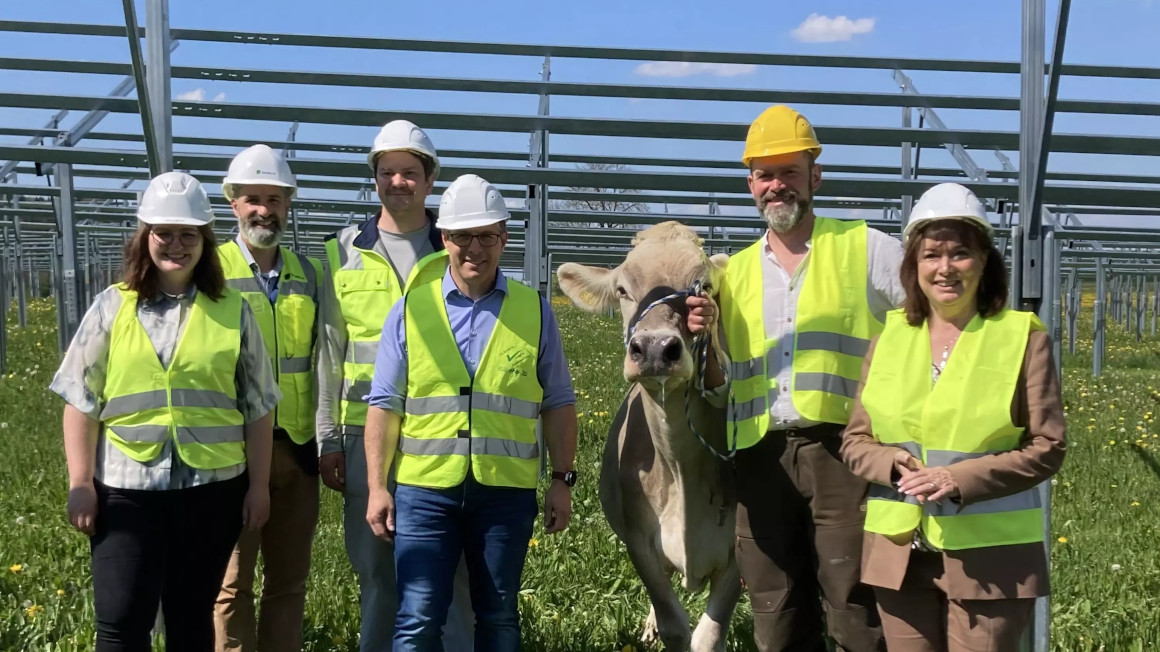 Lorena Keppler, Umweltingenieurin Nestlé Werk Biessenhofen; Stephan Schindele, Head of Management Agri-PV bei BayWa r.e.; Clemens Teyen, Leiter Umwelt- und Energiemanagement Nestlé Werk Biessenhofen; Jörg Schmitt, Environment & Sustainability Manager Standorte Nestlé Deutschland; Gerhard Metz, Landwirt, mit Kuh Marvella; Maria Rita Zinnecker, Landrätin des Landkreises Ostallgäu.