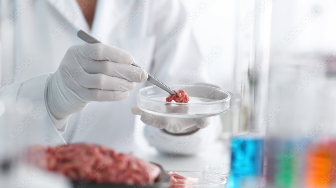 Laborfleisch