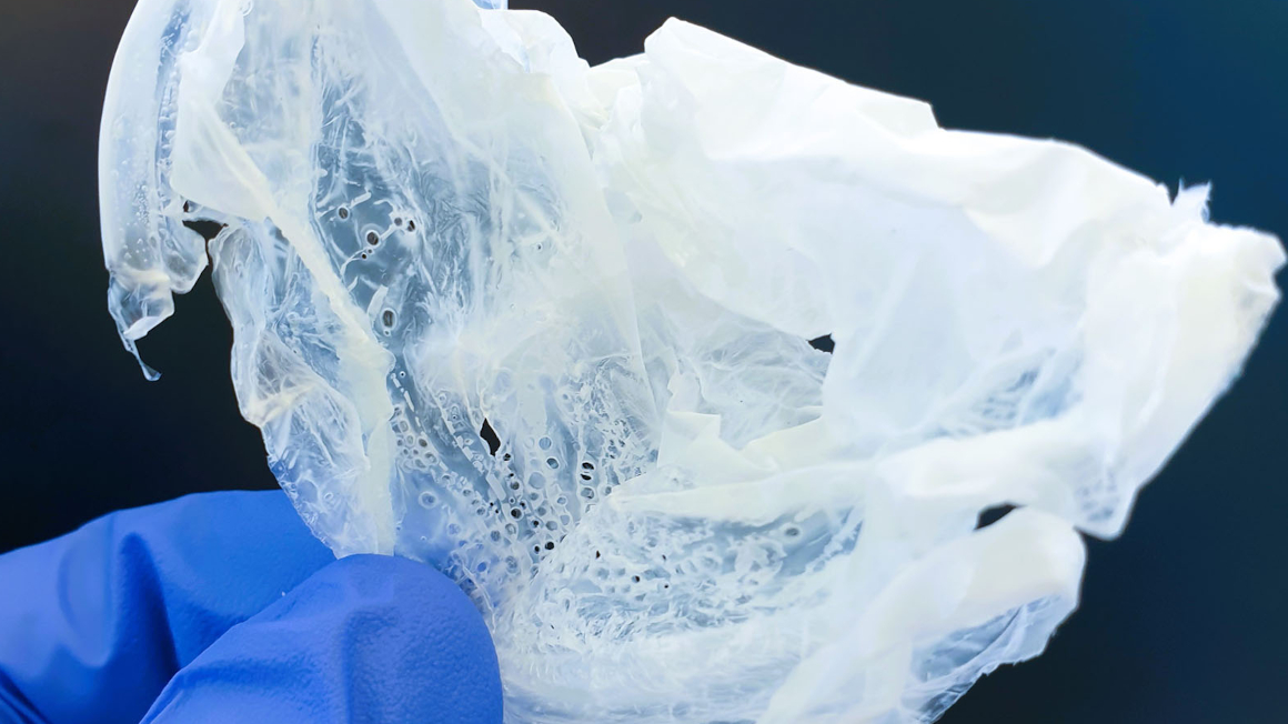 Der Kunststoff Polyhydroxyalkanoat (PHA), produziert aus organischen Säuren